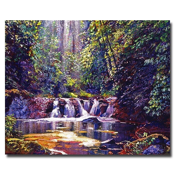 Trademark Fine Art 'Foaming Water Forest' 35" x 47" Canvas Art