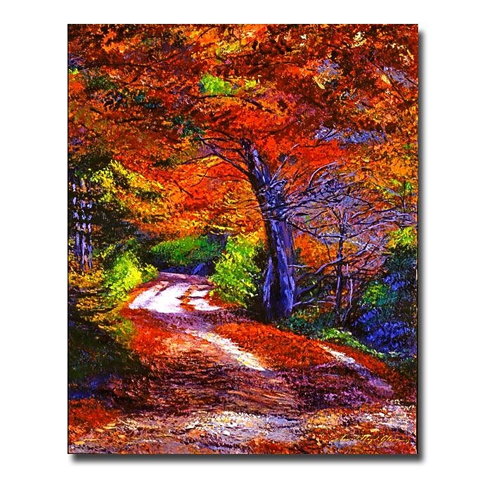 Trademark Fine Art 'Sunlight Through the Trees' 35" x 47" Canvas Art