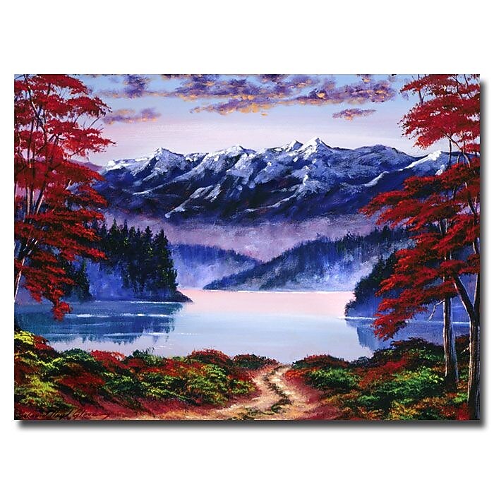 Trademark Fine Art 'Morning Glory' 35" x 47" Canvas Art