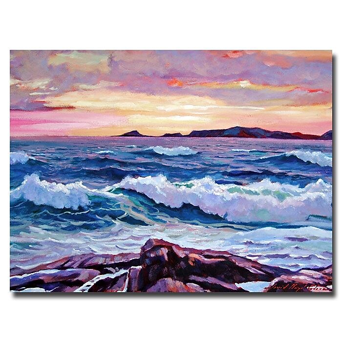 Trademark Fine Art 'California Sunset' 35" x 47" Canvas Art