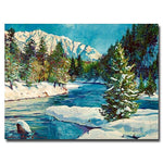 Trademark Fine Art 'Colorado Pines' 35" x 47" Canvas Art