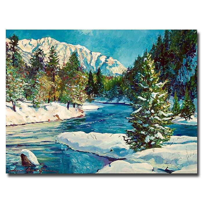 Trademark Fine Art 'Colorado Pines' 35" x 47" Canvas Art