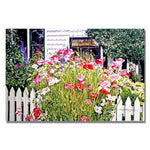 Trademark Fine Art 'Poppies on Niagara' 30" x 47" Canvas Art