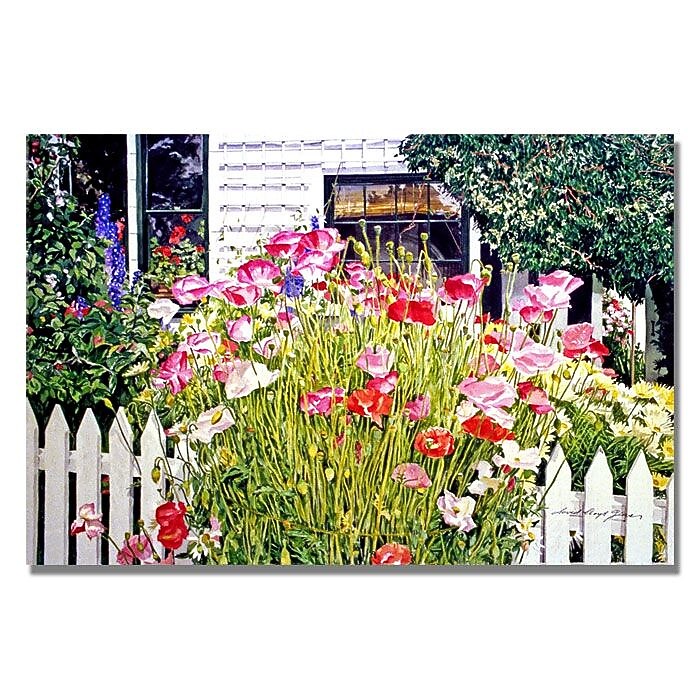 Trademark Fine Art 'Poppies on Niagara' 30" x 47" Canvas Art