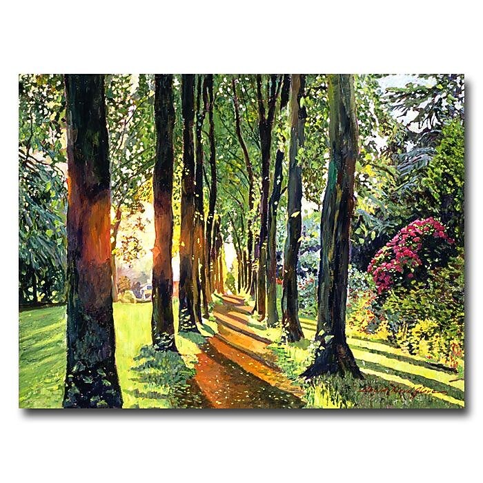 Trademark Fine Art 'Forest of Enchantment' 35" x 47" Canvas Art