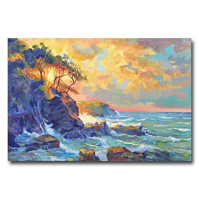 Trademark Fine Art 'Pacific Dawn' 30" x 47" Canvas Art