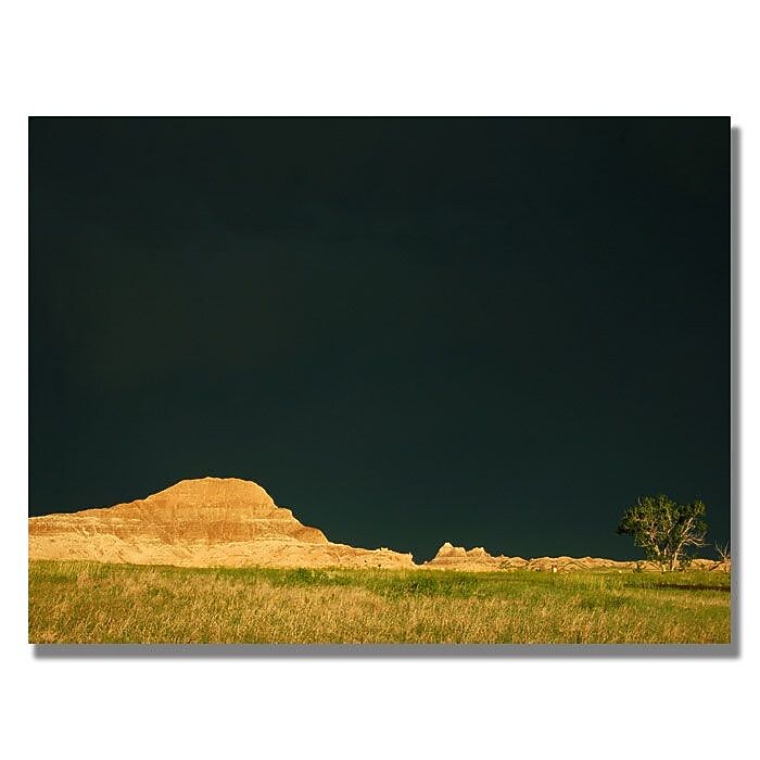 Trademark Fine Art 'Approaching Storm' 30" x 47" Canvas Art