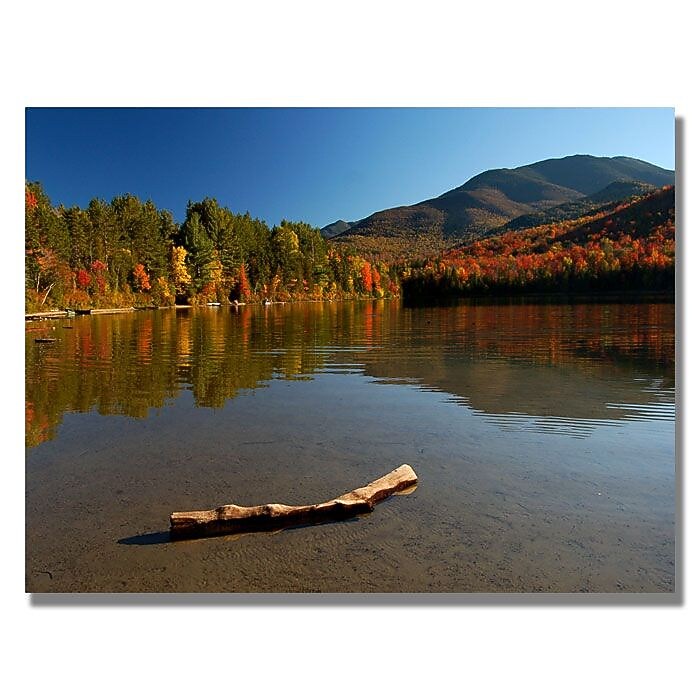 Trademark Fine Art 'The Adirondack Driftwood' 30" x 47" Canvas Art