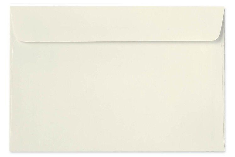 LUX 24lbs. 10" x 13" Rectangular Flap Booklet Envelopes, Natural, 500/BX