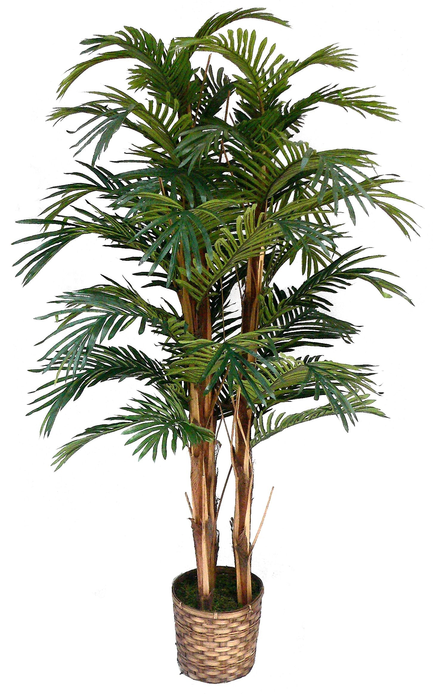 Vintage Home 60" High End Realistic Silk Palm Tree in Wicker Basket Planter