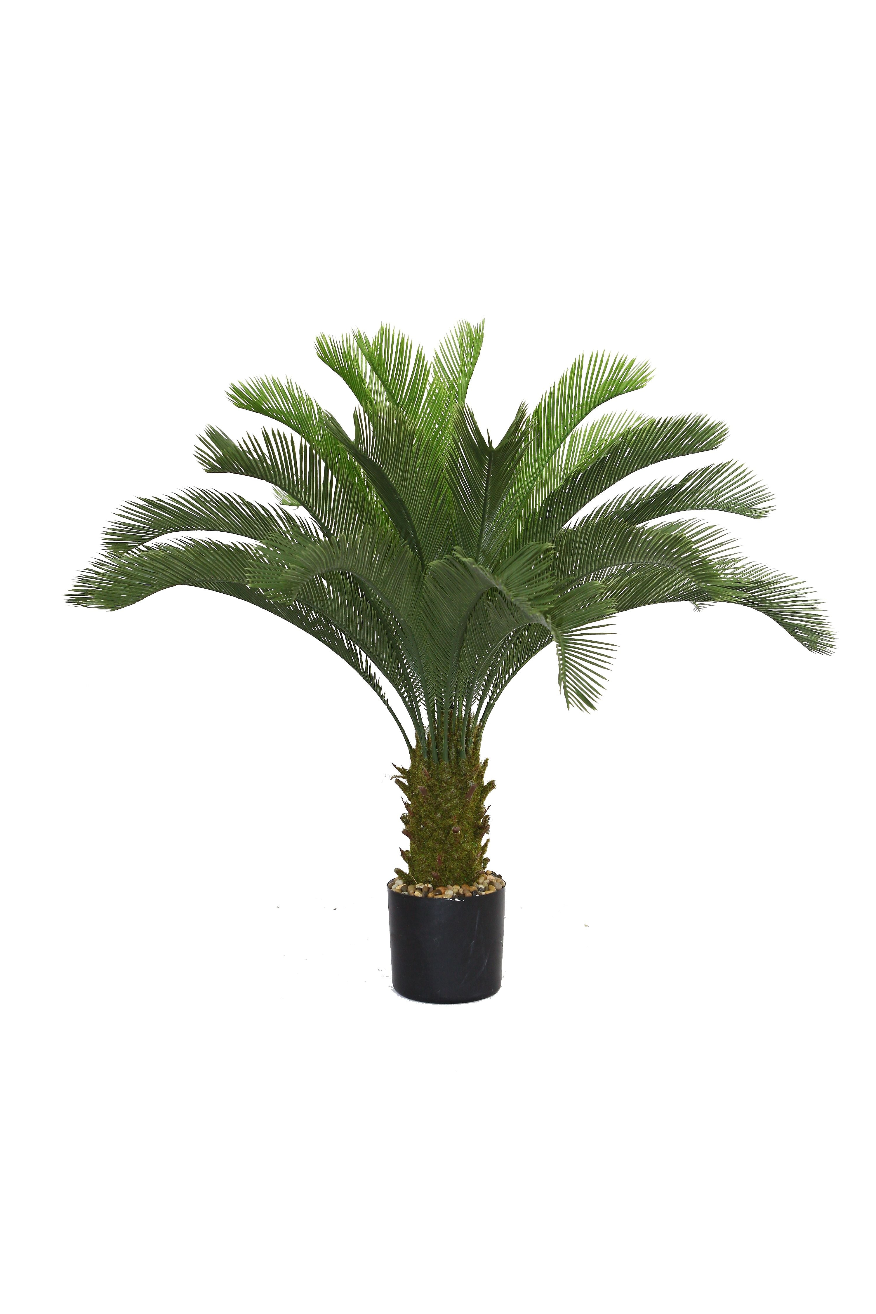 Vintage Home 48" Cycas Palm Tree