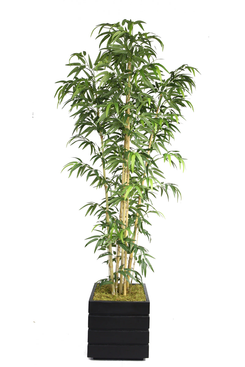 Vintage Home 78" Natural Bamboo Tree in 14" Fiberstone Planter, Black/Gray