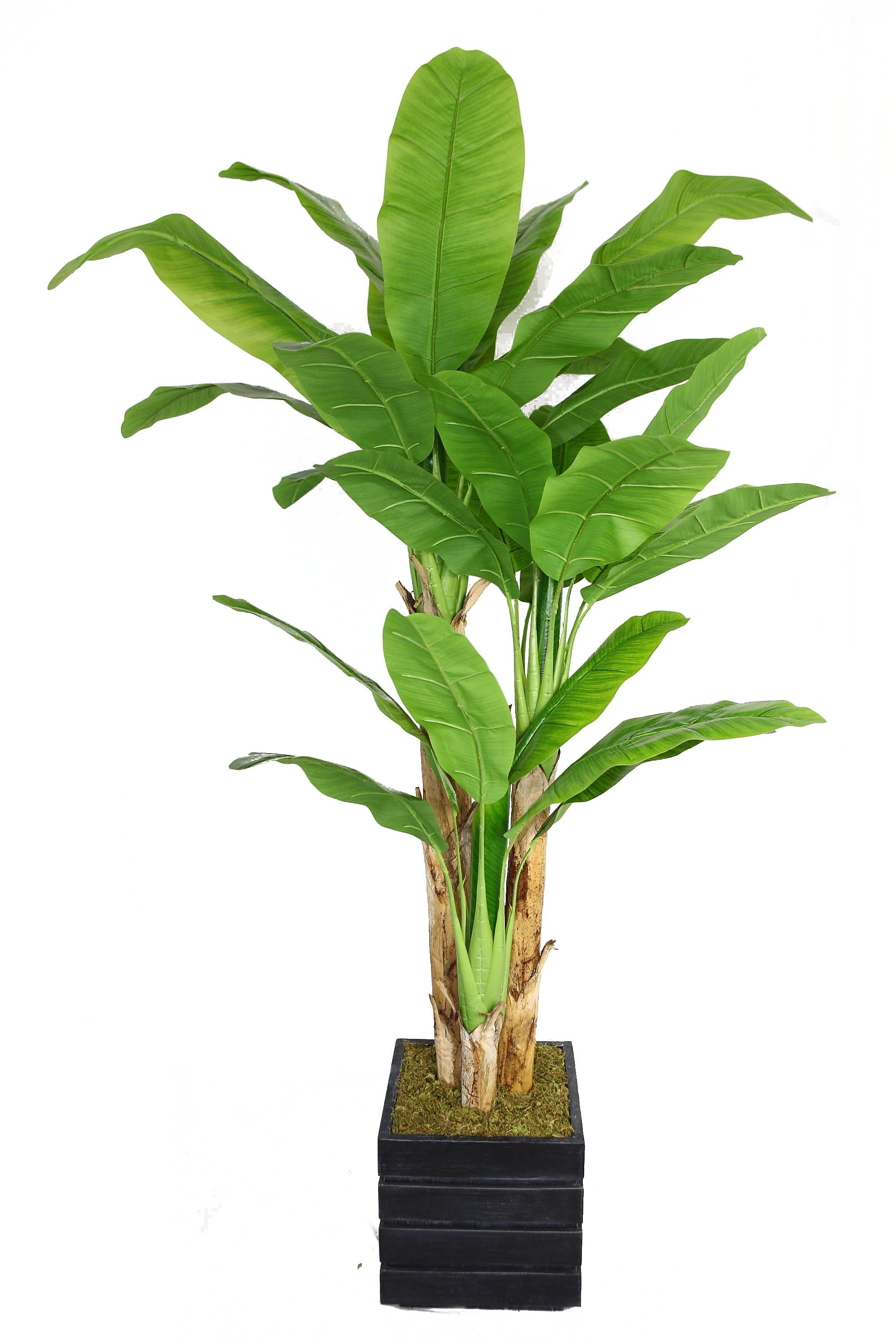 Vintage Home 78" Banana Tree With Real Touch Leaves in 14" Fiberstone Planter, Black/Gray