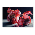 Trademark Fine Art 'Beauty So Deep It Makes You Weep' 30" x 47" Canvas Art