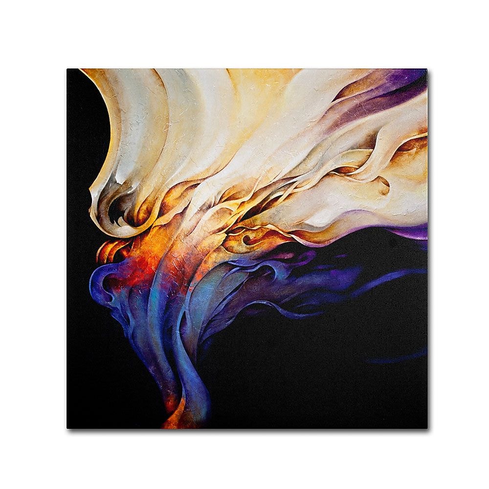 Trademark Fine Art 'Evoke' 35" x 35" Canvas Art