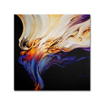 Trademark Fine Art 'Evoke' 35" x 35" Canvas Art