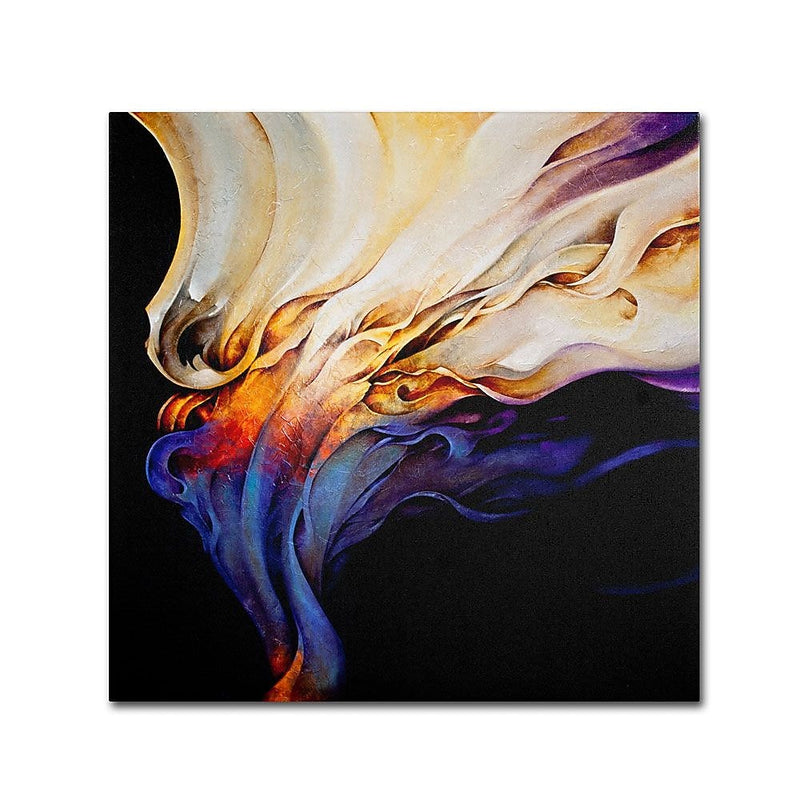 Trademark Fine Art 'Evoke' 24" x 24" Canvas Art