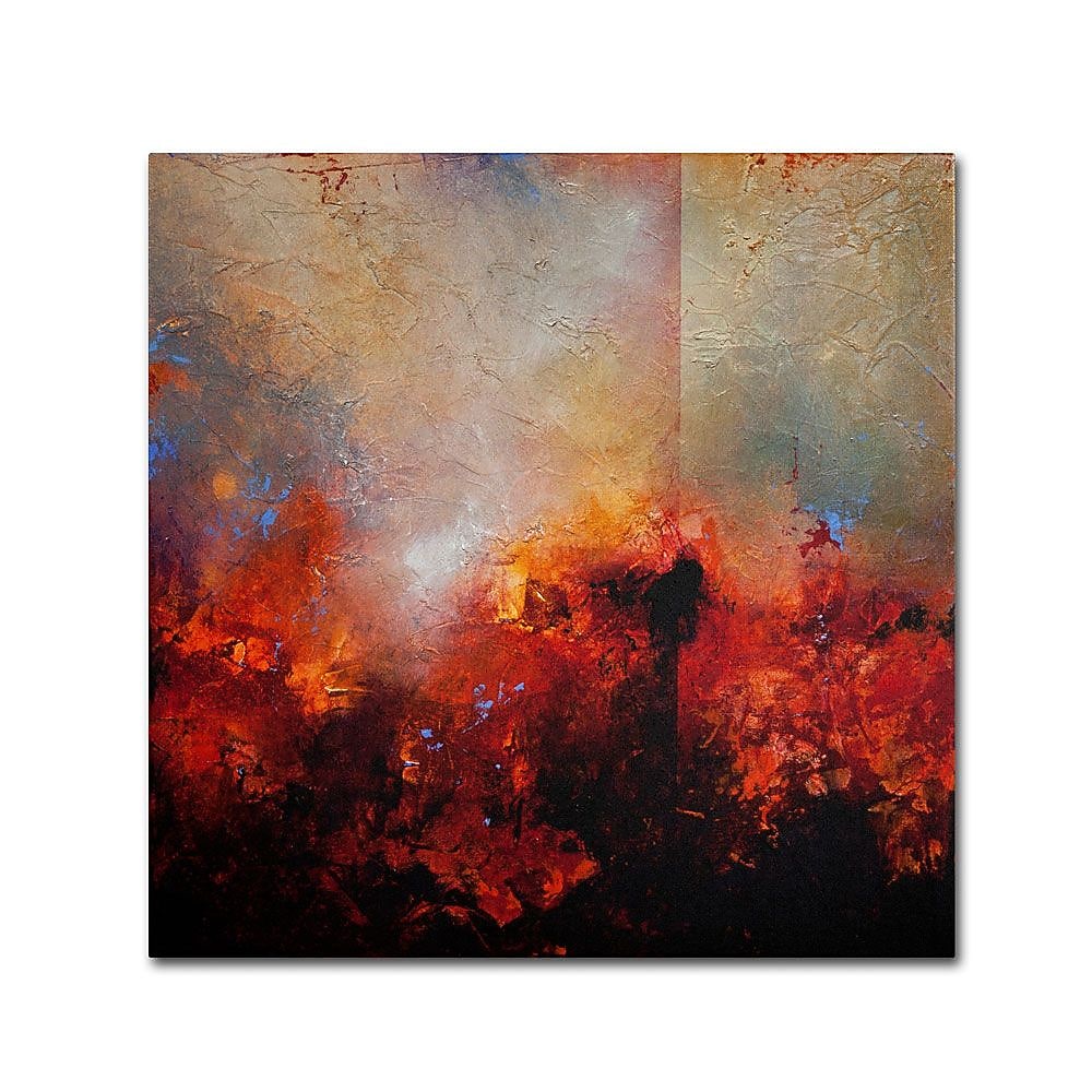Trademark Fine Art 'Red Earth' 24" x 24" Canvas Art