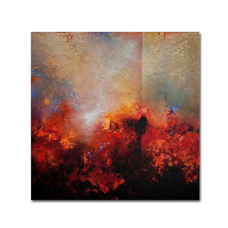 Trademark Fine Art 'Red Earth' 24" x 24" Canvas Art