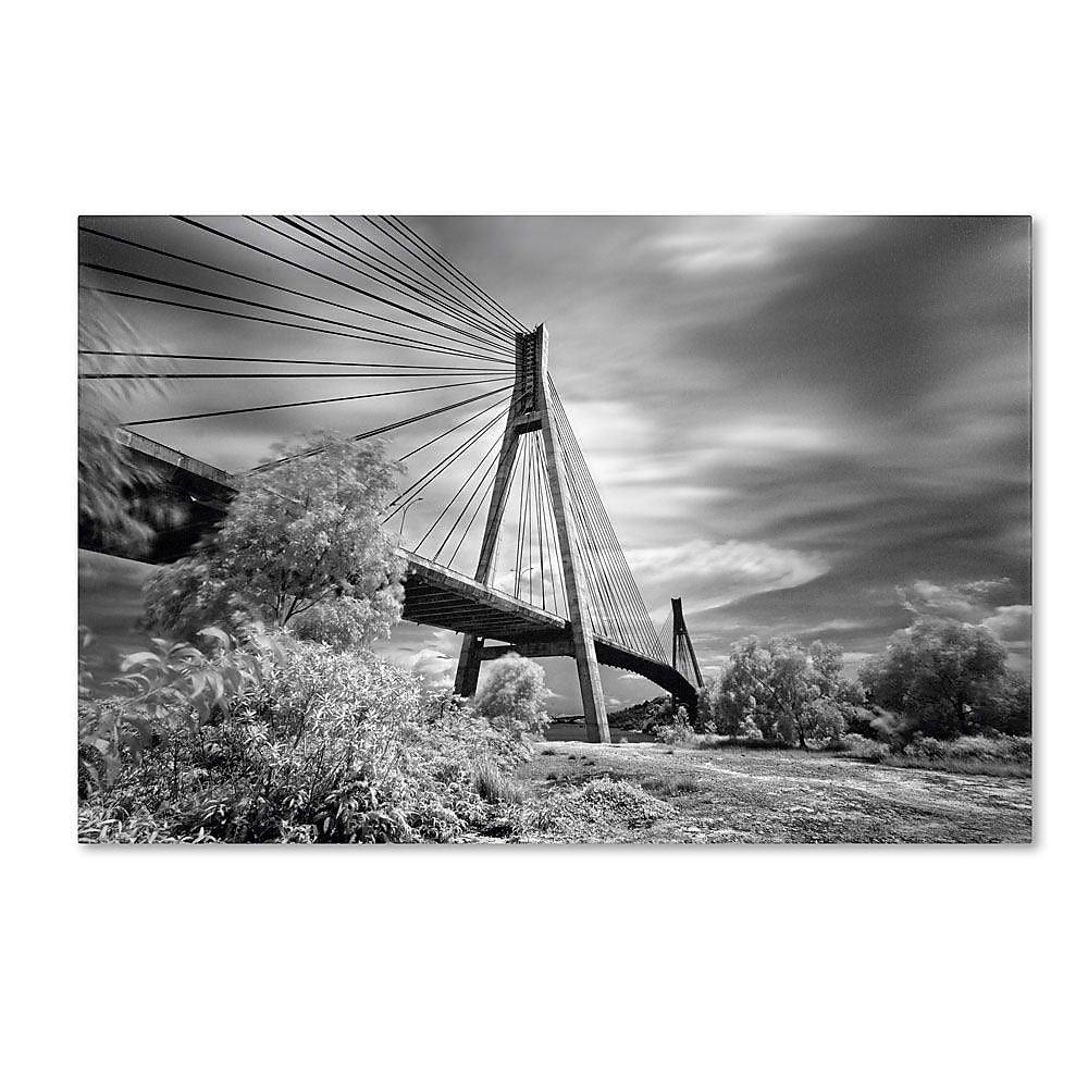 Trademark Fine Art 'First Link' 22" x 32" Canvas Art
