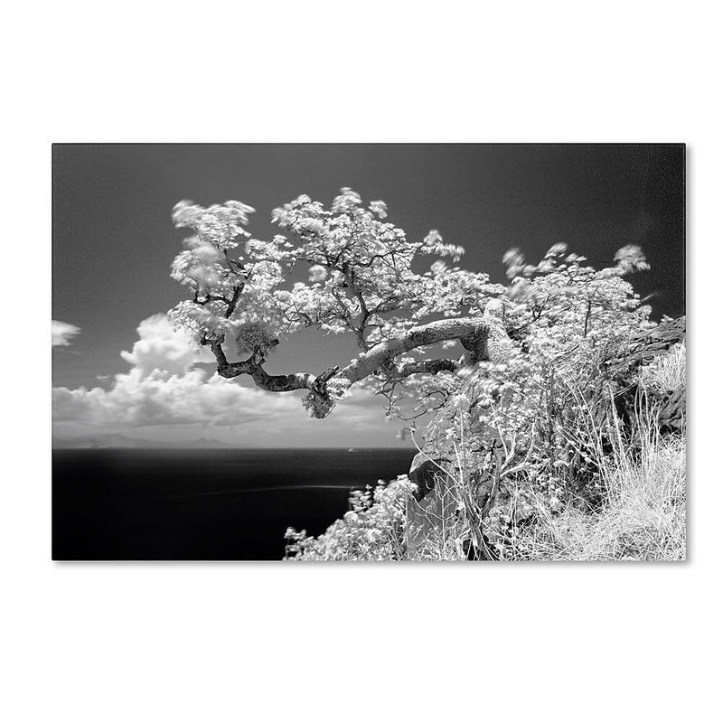 Trademark Fine Art 'Intimate' 22" x 32" Canvas Art