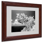 Trademark Fine Art 'Intimate' 11" x 14" Wood Frame Art
