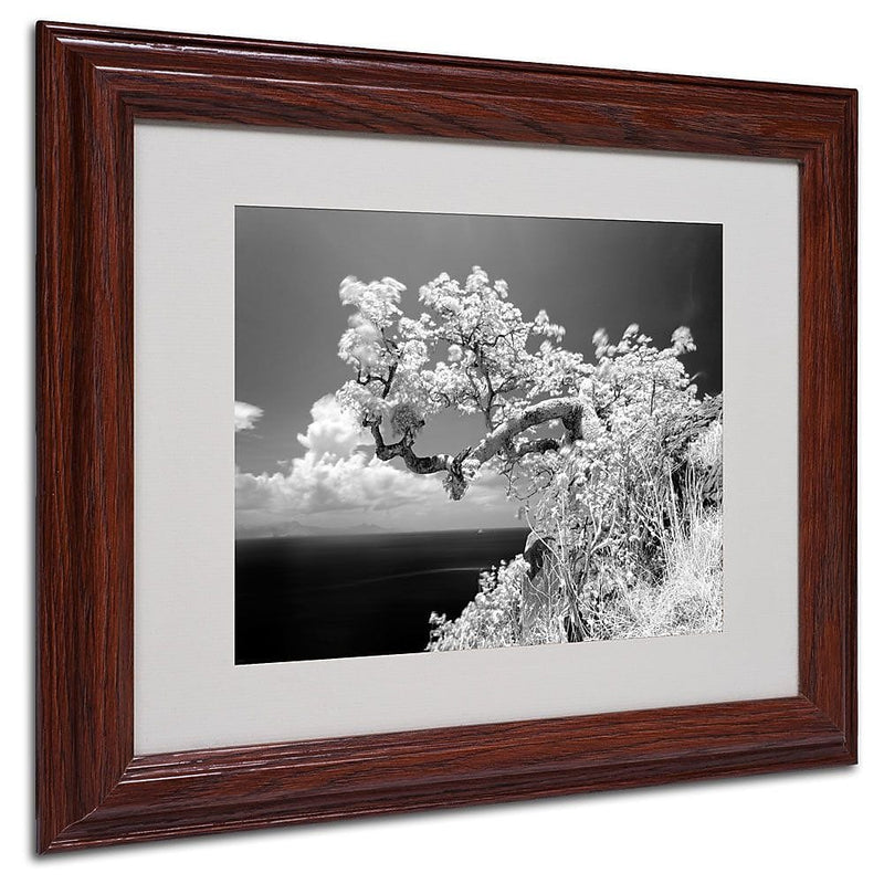 Trademark Fine Art 'Intimate' 11" x 14" Wood Frame Art