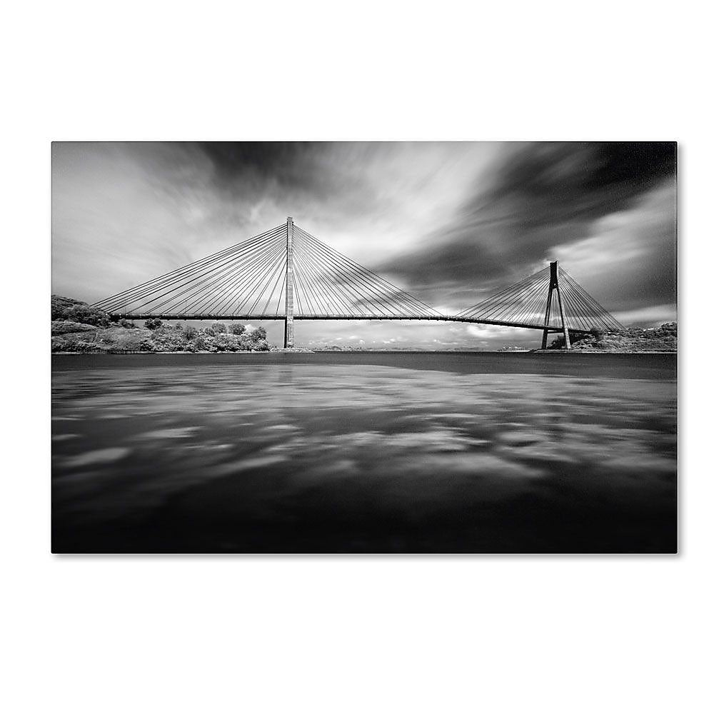 Trademark Fine Art 'Paragon' 30" x 47" Canvas Art