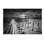 Trademark Fine Art 12" x 19" Hidden Wooden Frame Reach