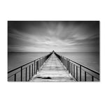 Trademark Fine Art 'Withstand' 30" x 47" Canvas Art