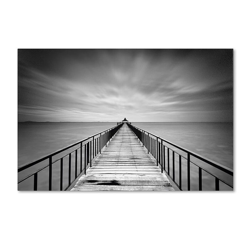 Trademark Fine Art 'Withstand' 30" x 47" Canvas Art