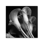 Trademark Fine Art 'Lillies' 14" x 14" Canvas Art