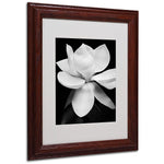 Trademark Fine Art 'Magnolia' 11" x 14" Wood Frame Art