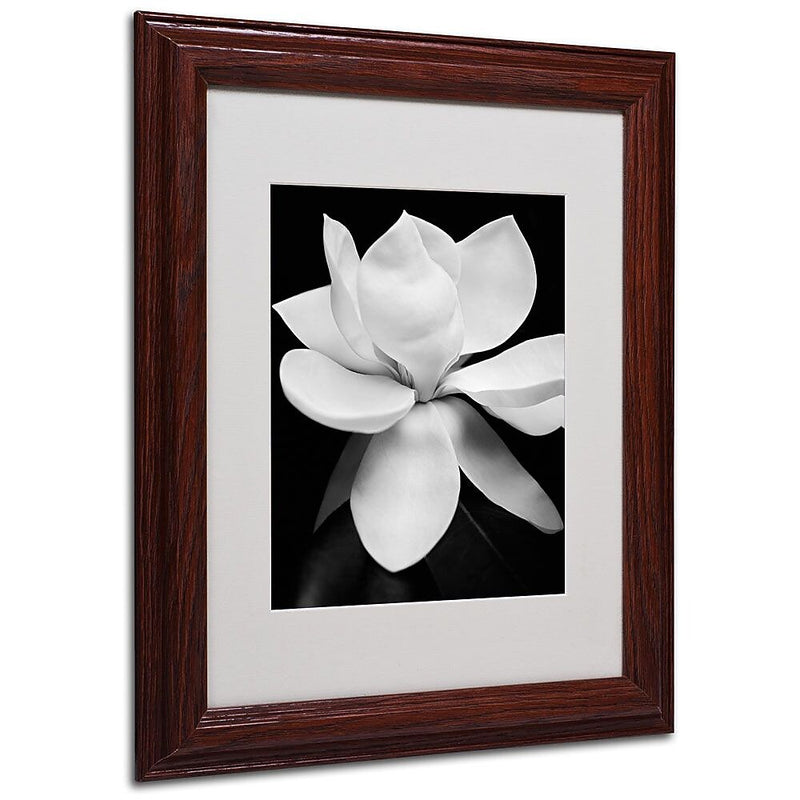 Trademark Fine Art 'Magnolia' 11" x 14" Wood Frame Art