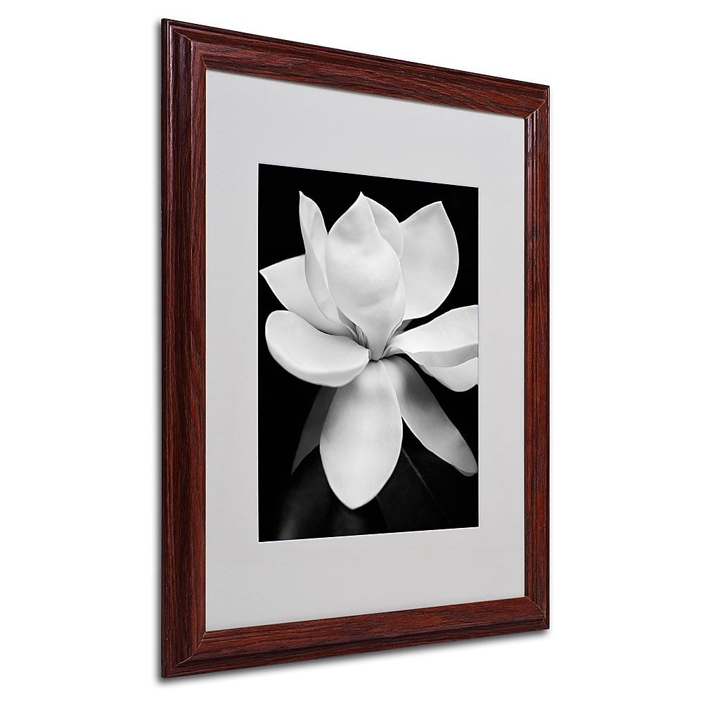 Trademark Fine Art 'Magnolia' 16" x 20" Wood Frame Art