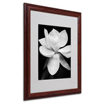 Trademark Fine Art 'Magnolia' 16" x 20" Wood Frame Art