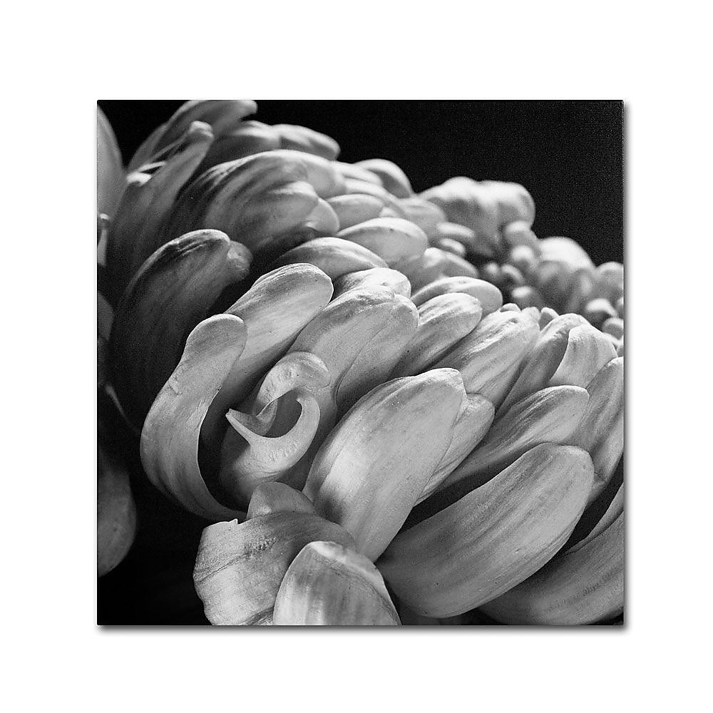 Trademark Fine Art 'Mum I' 35" x 35" Canvas Art