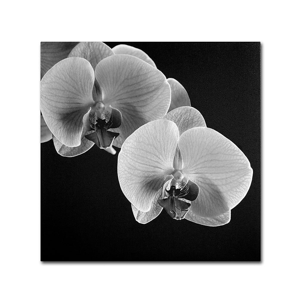 Trademark Fine Art 'Orchids' 18" x 18" Canvas Art
