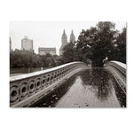Trademark Fine Art 'Bow Bridge 2010' 24" x 32" Canvas Art