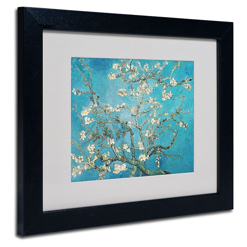 Trademark Fine Art 'Almond Branches' 11" x 14" Black Frame Art