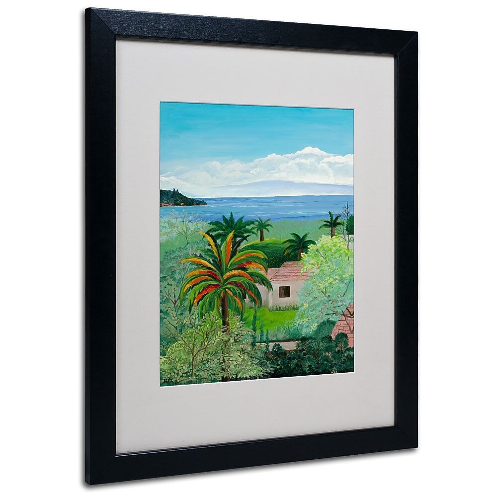 Trademark Fine Art Costa Rican Beach' 16" x 20" Black Frame Art