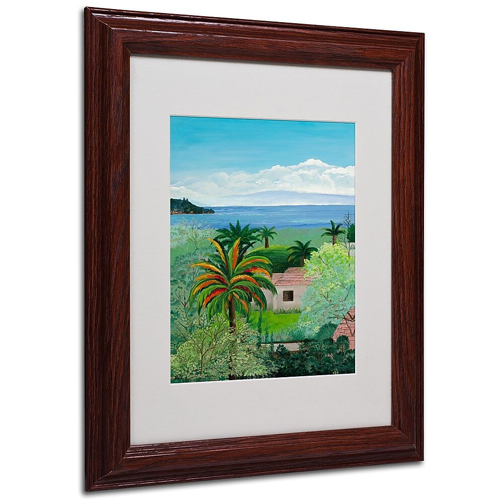 Trademark Fine Art Costa Rican Beach' 11" x 14" Wood Frame Art