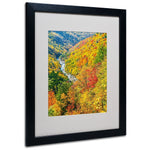 Trademark Fine Art 'Valley' 16" x 20" Black Frame Art