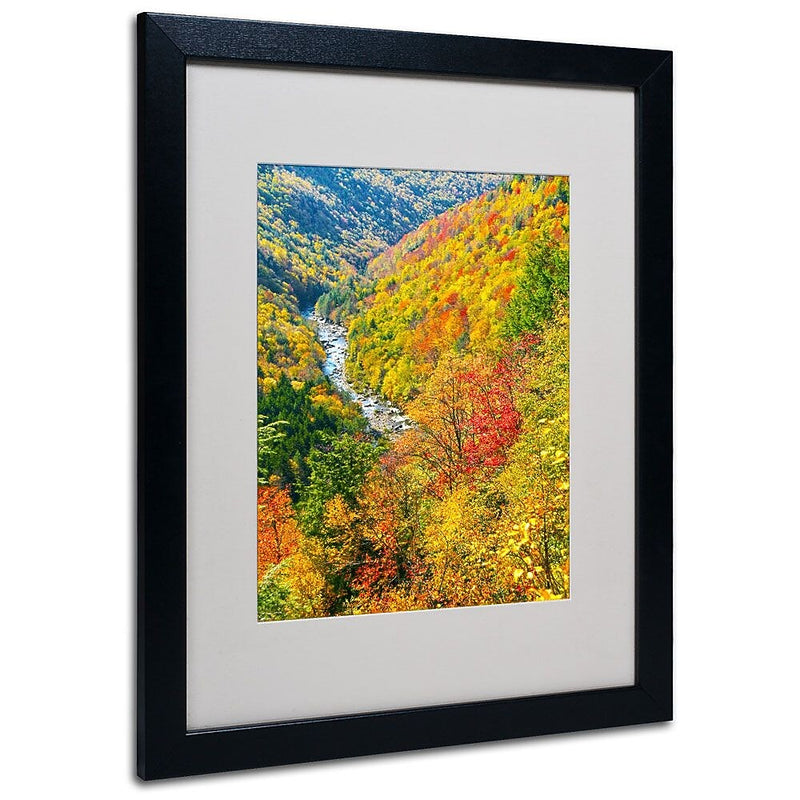 Trademark Fine Art 'Valley' 16" x 20" Black Frame Art