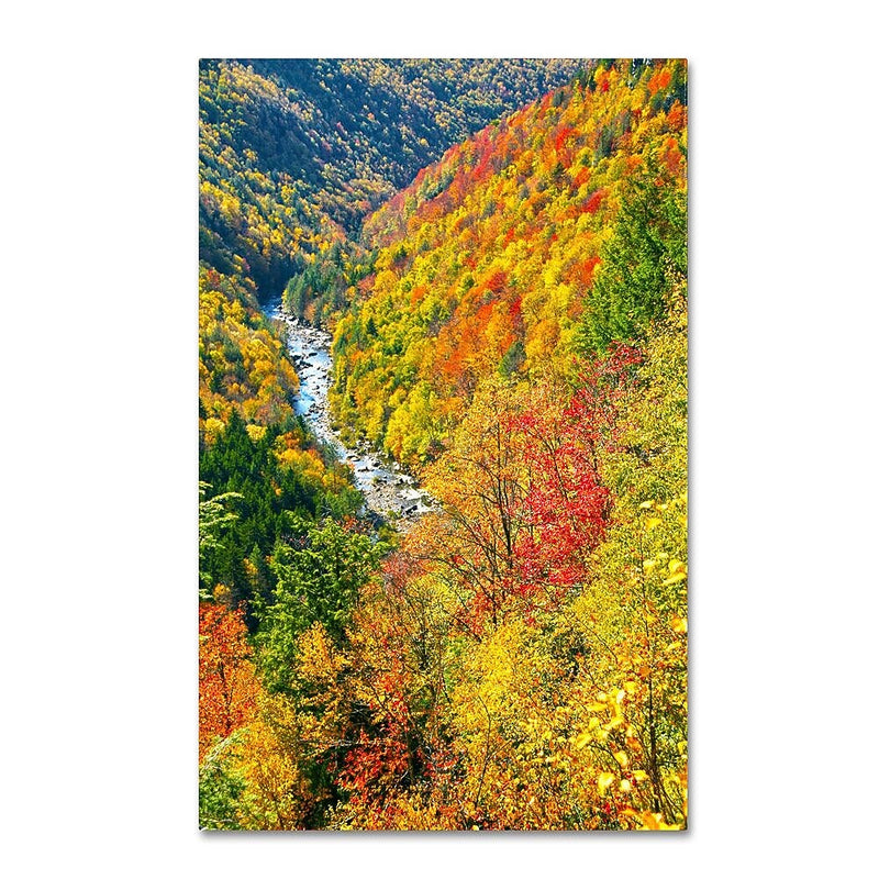 Trademark Fine Art 'Valley' 22" x 32" Canvas Art