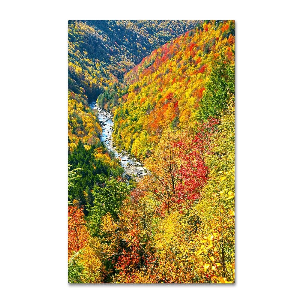 Trademark Fine Art 'Valley' 16" x 24" Canvas Art