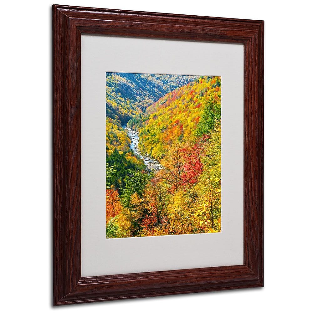 Trademark Fine Art 'Valley' 11" x 14" Wood Frame Art