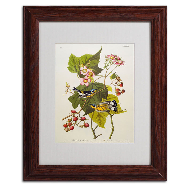 Trademark Fine Art 'Black and Yellow Warbler' 11" x 14" Wood Frame Art