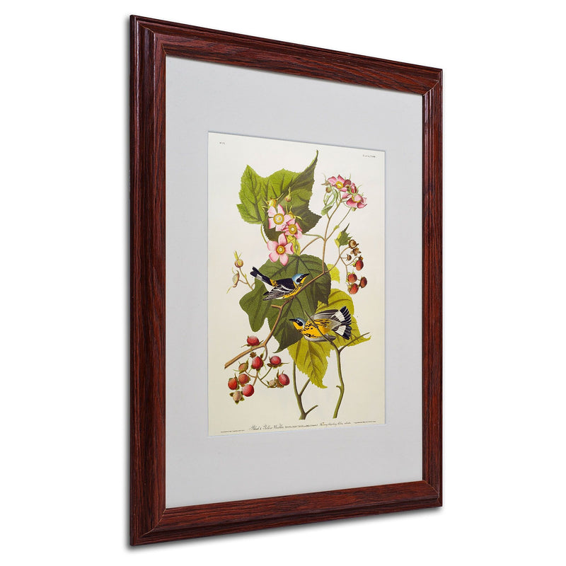 Trademark Fine Art 'Black and Yellow Warbler' 16" x 20" Wood Frame Art