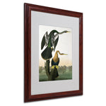 Trademark Fine Art 'Black-Billed Darter' 16" x 20" Wood Frame Art